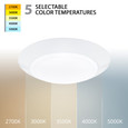 WAC Lighting FM-306CS Disc LED 5-CCT Selectable Flush Mount, Wet Location Aluminum
