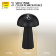 WAC Lighting TL-W2512 Darla Rechargeable LED Table Lamp, Aluminum