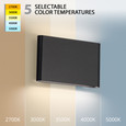 WAC Lighting WS-2503 Tablet LED Indoor/Outdoor Wall Light, 17W