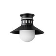 Maxim Lighting MAX-35120 Admiralty 1-Light Outdoor Flush Mount