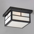 Maxim Lighting MAX-4059 Coldwater 2-Light Outdoor Ceiling Mount