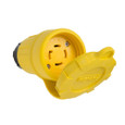 Pass & Seymour Turnlok Watertight NEMA 4X/6P Locking Connector