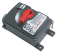 Pass & Seymour PS-30SS Non-Fusible Safety Switch, NEMA 4X Valox Enclosure