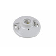 Pass & Seymour Porcelain Medium Base 4-Terminal Keyless Lampholder