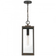 Quoizel Lighting WVR1907 Transitional Outdoor Hanging 1 Light