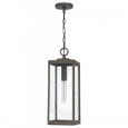 Quoizel Lighting WVR1907 Transitional Outdoor Hanging 1 Light