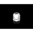 Rittal 24116 Polyamide Cable Gland, IP68 Rated