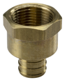 Sioux Chief 647XG Series No-Lead Brass One-Piece FIP x PEX Adapter