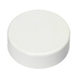 Sioux Chief HARDHAT 8800 Series Temporary PVC DWV Test Cap, USA-Made