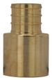Sioux Chief 644XG Series No-Lead FSWT x PEX Transition Adapter for Potable Water Lines