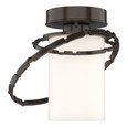 Hubbardton Forge 352401 Olympus Outdoor Semi-Flush Mount Light