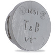 Thomas & Betts 1453 1" Non-Metallic Locking Knockout Plug, Rigid/IMC Conduit