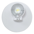 Cooper Lighting APWR All Pro Series LED Emergency Remote Head, Wet Listed