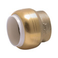 SharkBite UIP28 IPS PVC Pipe Cap Fitting