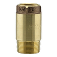 Boshart 17CVMF-125-100N Brass Check Valve, 1-1/4" MIP x FIP, No-Lead