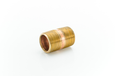 Pasco 7727 Brass Threaded Pipe Nipple, Rough-In Fitting