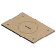 Steel City Cover Plate 2IN NPS Plug