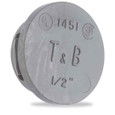 Thomas & Betts 1453 1" Non-Metallic Locking Knockout Plug, Rigid/IMC Conduit