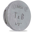 Thomas & Betts 1-1/2" Non-Metallic Insulating Bushing
