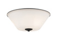 Z-Lite Jarra 3 Light Flush Mount