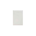 Pass & Seymour TradeMaster Jumbo 1-Gang Blank Nylon Wall Plate