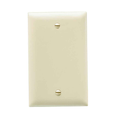 Pass & Seymour TradeMaster 1-Gang Nylon Blank Wall Plate, Box Mounted