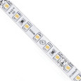 DiodeLED Blaze Basics LED Tape Light, 24V DC 3000K