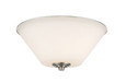 Z-Lite Jarra 2-Light Flush Mount