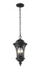 Z-Lite Doma 3 Light Outdoor Chain Mount Ceiling Fixture