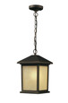 Z-Lite Holbrook 1-Light Outdoor Chain Mount Ceiling Fixture