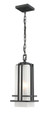 Z-Lite Abbey 1-Light Outdoor Chain Mount Ceiling Fixture