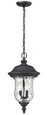 Z-Lite Armstrong 3 Light Outdoor Chain Mount Ceiling Fixture