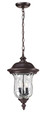 Z-Lite Armstrong 2-Light Outdoor Chain Mount Ceiling Fixture
