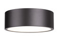 Z-Lite Harley 3 Light Flush Mount