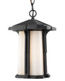 Z-Lite Harbor Lane 1-Light Outdoor Chain Mount Ceiling Fixture