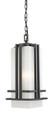 Z-Lite Abbey 1-Light Outdoor Chain Mount Ceiling Fixture