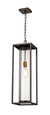 Z-Lite Dunbroch 1-Light Outdoor Chain Mount Ceiling Fixture