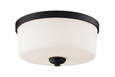 Z-Lite 220F3 Arlington 3-Light Flush Mount