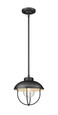 Z-Lite 590P-BK Ansel Single Light Outdoor Pendant