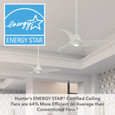 Energy Star Graphic