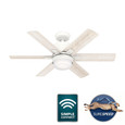 Badged Main Image