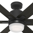 Fan Body