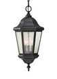 Generation Lighting OL5911BK