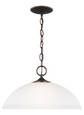 Generation Lighting 6516501-710