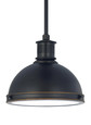 Generation Lighting 65085EN3-715