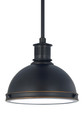 Generation Lighting 65085-715