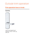 Von Duprin Von Duprin 996L-DT Lever - Dummy Trim for 98/99 Series Exit Devices VON-996L-DT