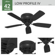 Hunter 42" 5 Blade Low Profile Low Profile Ceiling Fan and Pull Chain