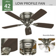 Hunter 42" 5 Blade Low Profile Low Profile Ceiling Fan and Pull Chain