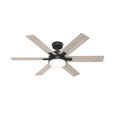 Hunter 52" 6 Blade Georgetown Ceiling Fan with LED Light Kit and Handheld Remote